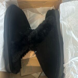 BearPaw Loki II